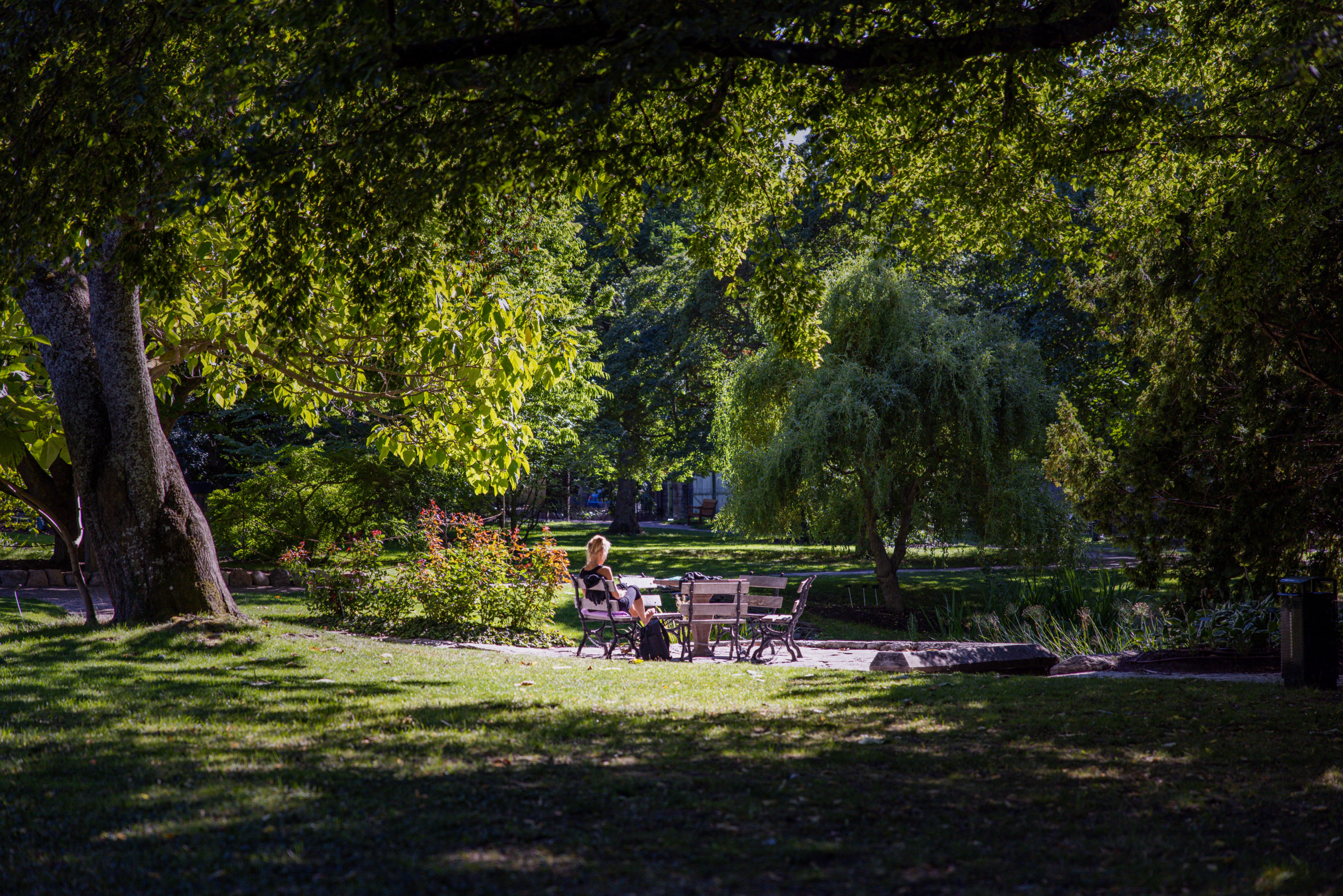 Njut av lugnet i vår trädgård och botaniska trädgården i Visby